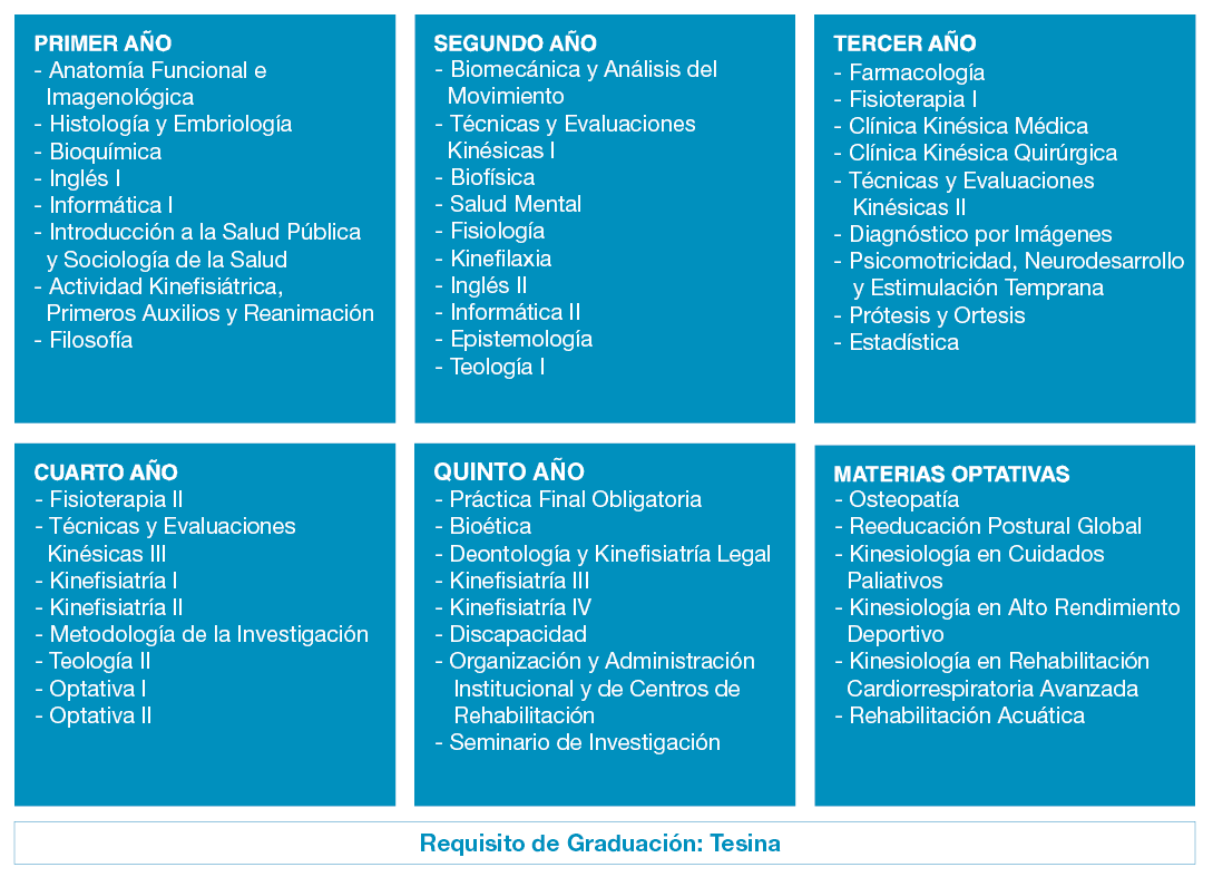 materias kinesiologia.png
